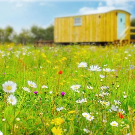 Honeysuckle Farm Holidays By Stay In Suffolk, Monk Soham Вудбридж Екстер'єр фото